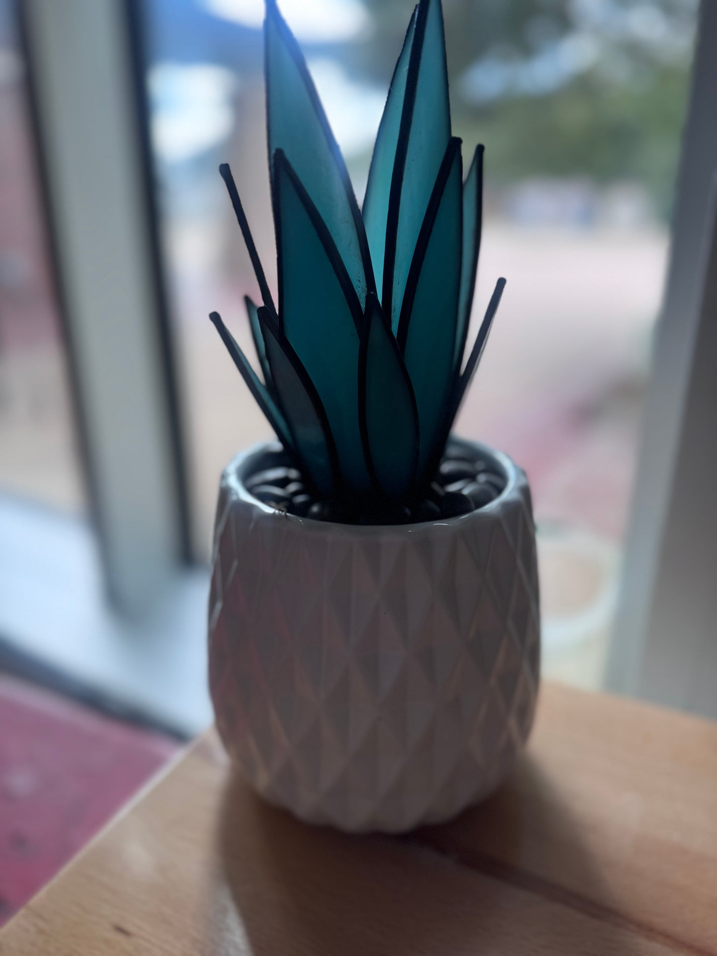 Solstice Agave