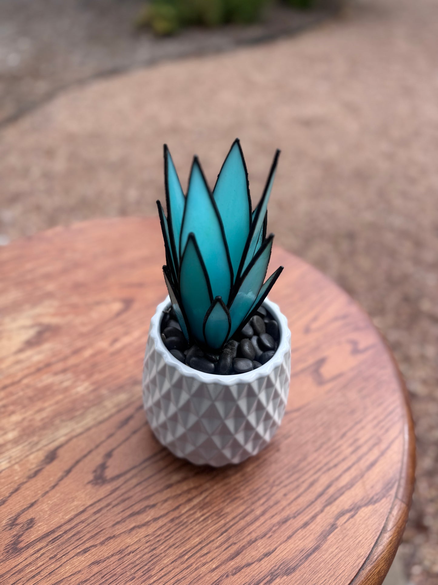 Solstice Agave