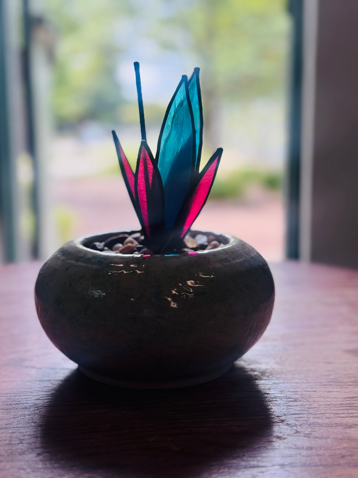 Desert Jewel - Agave Sucullent