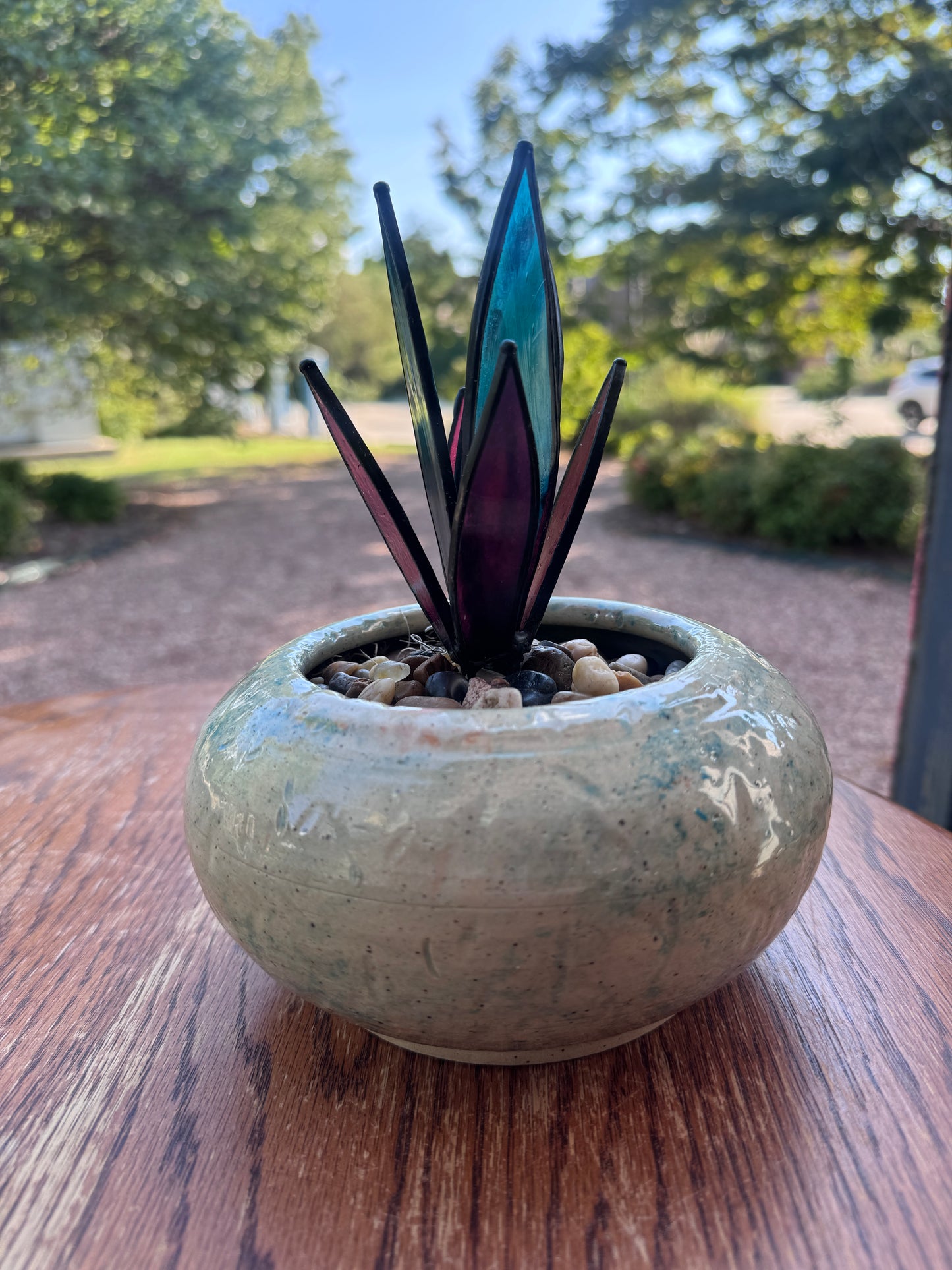 Desert Jewel - Agave Sucullent