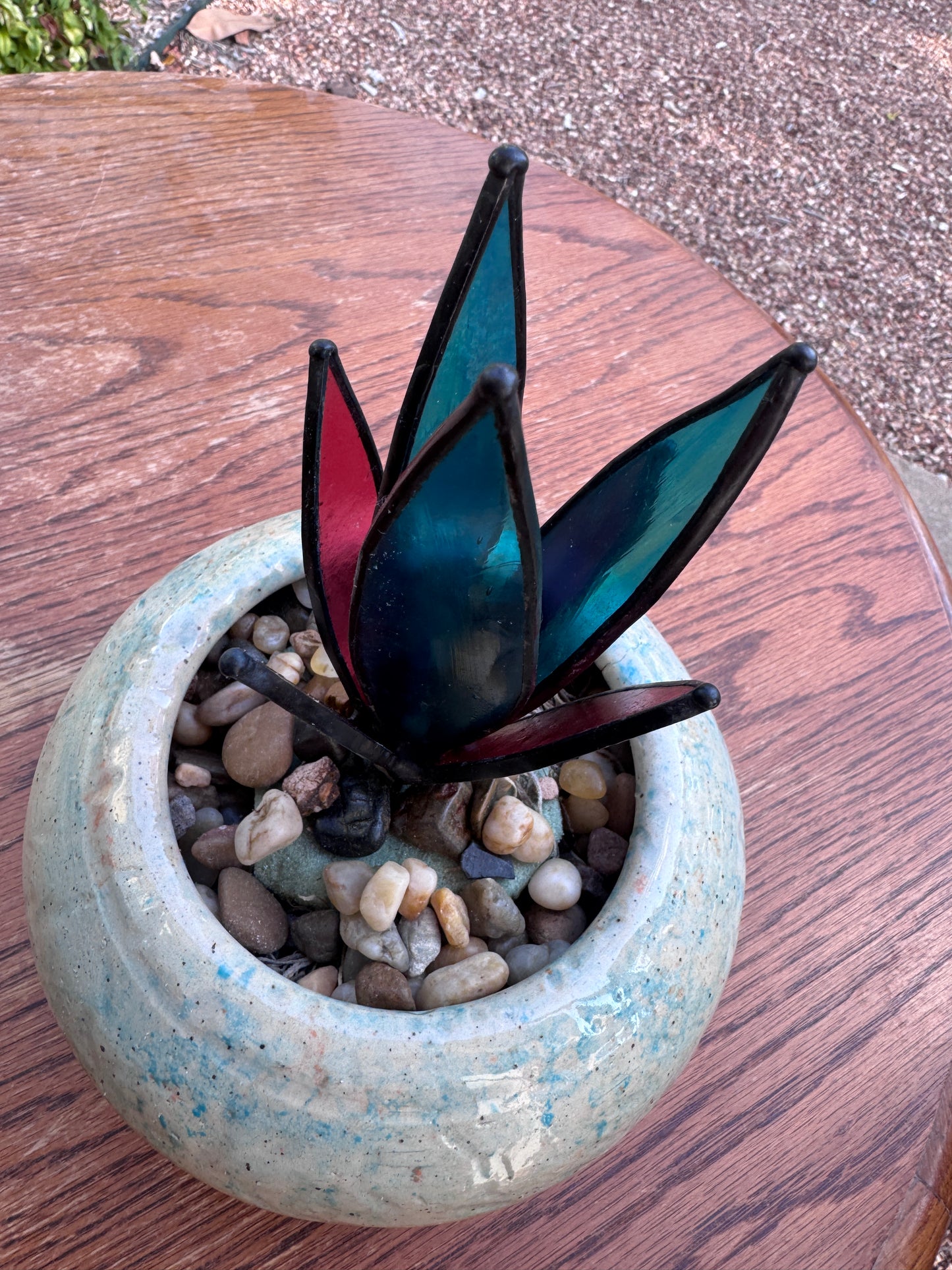 Desert Jewel - Agave Sucullent
