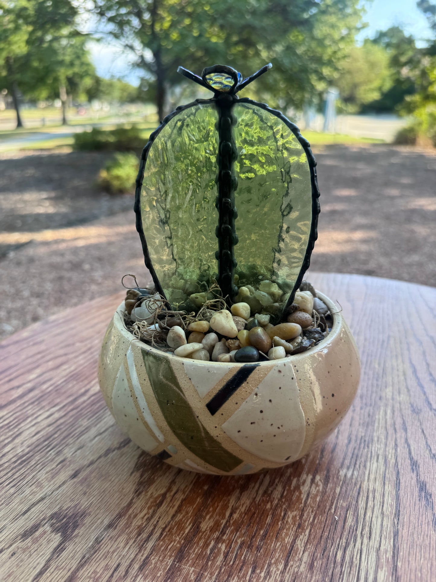 Desert Bloom Cacti