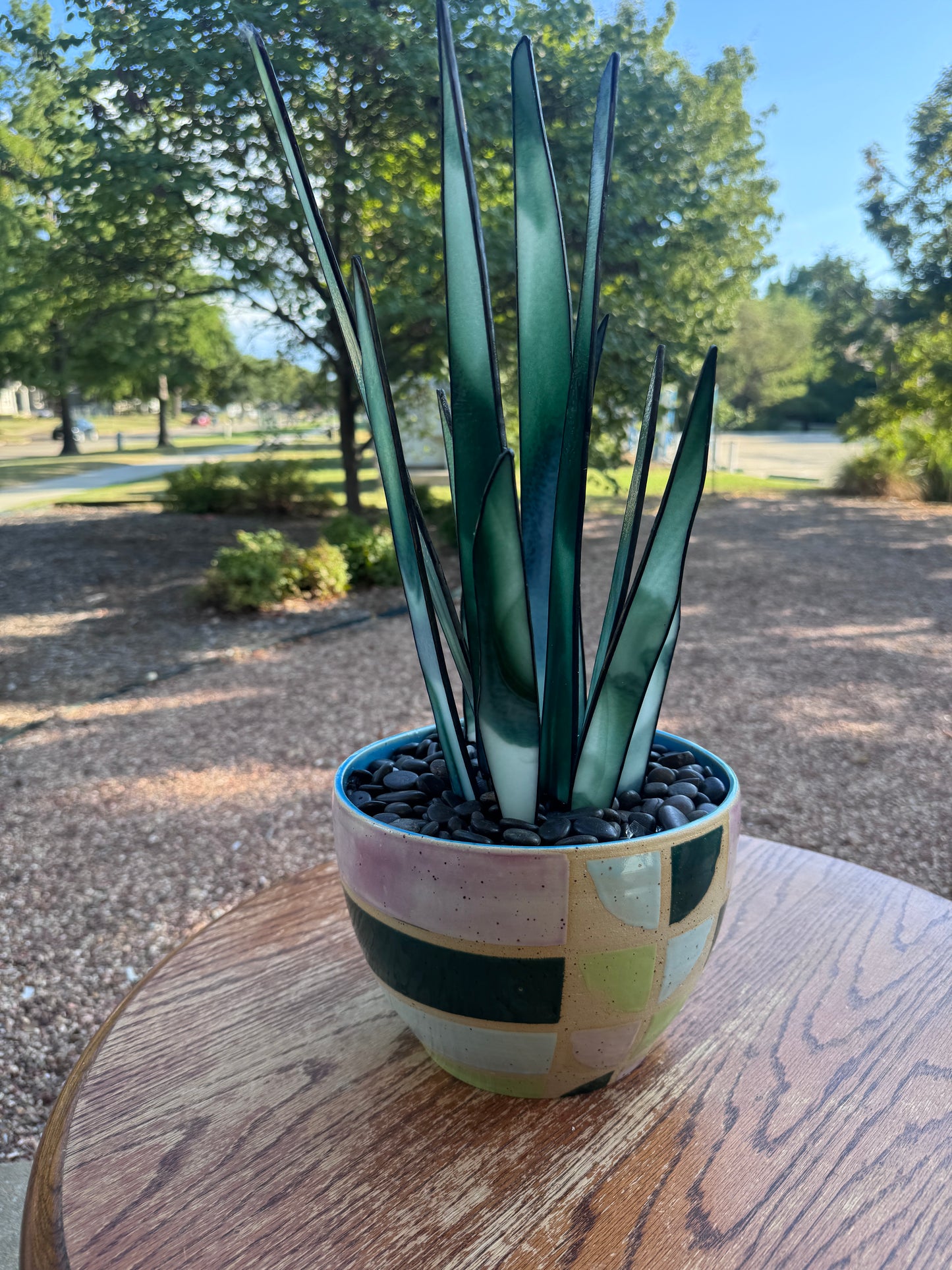 Verdant Snake Plant