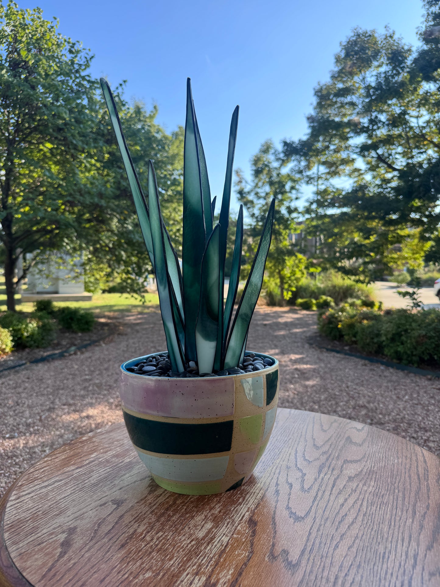 Verdant Snake Plant