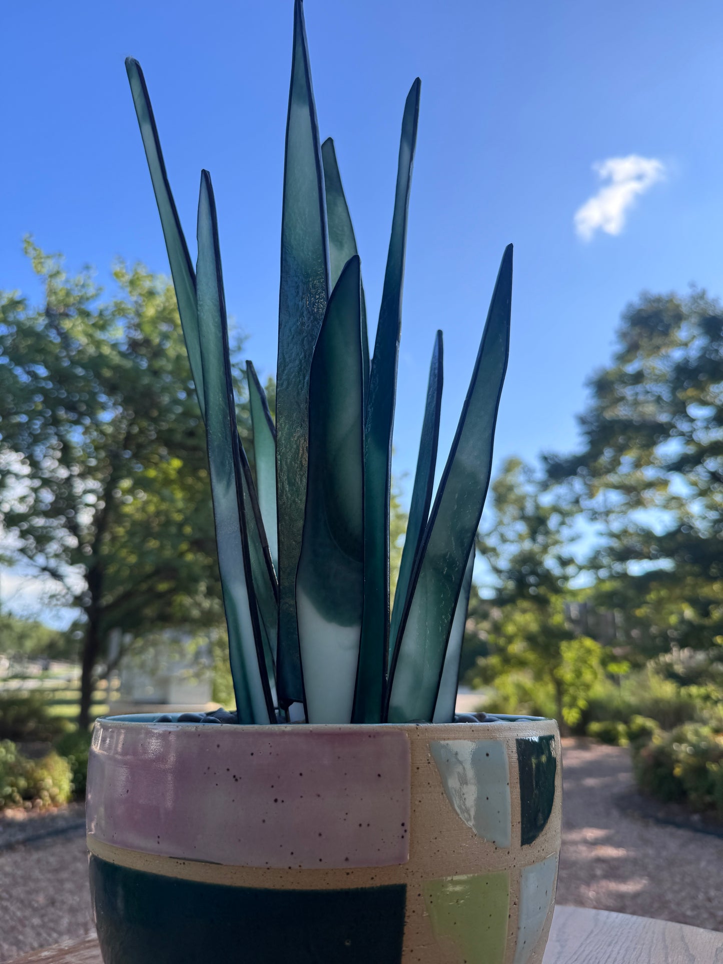Verdant Snake Plant