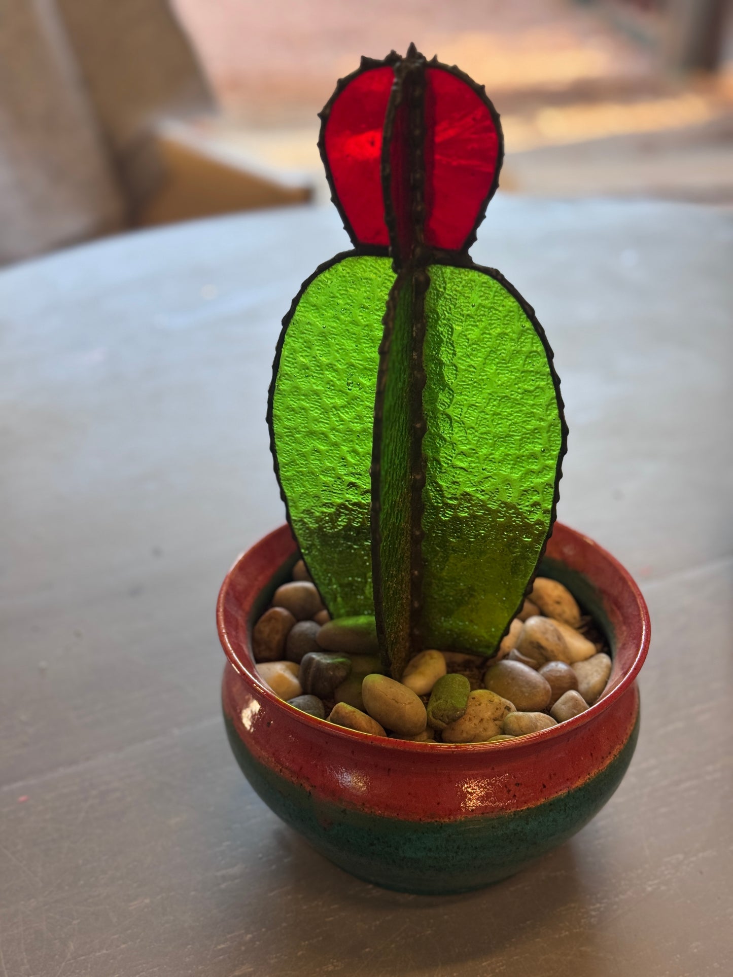 Ruby Crown Cactus