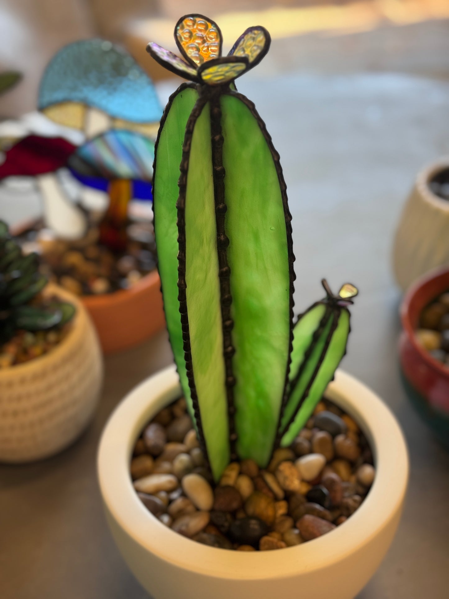 Blooming Cacti