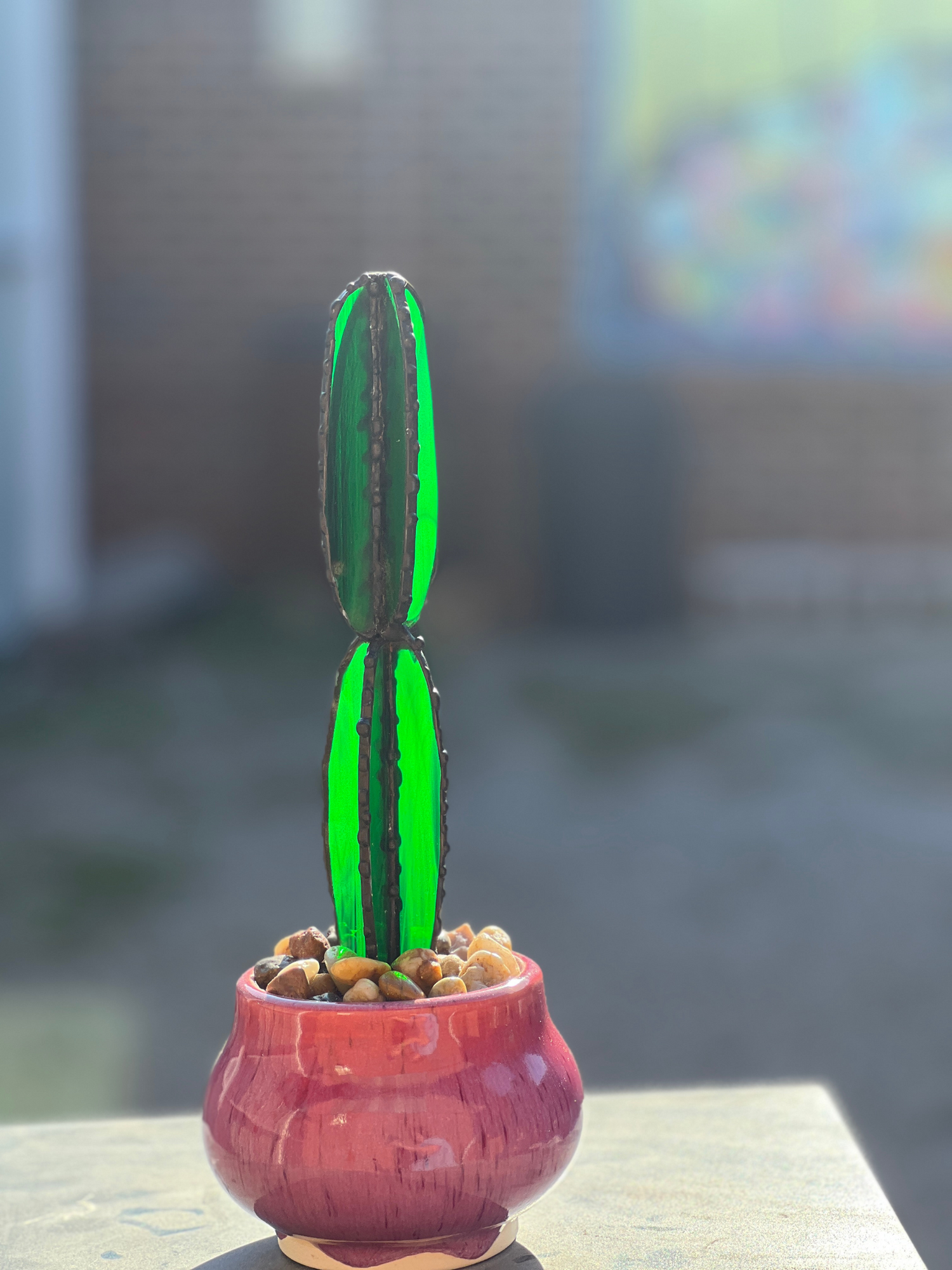 Cactus