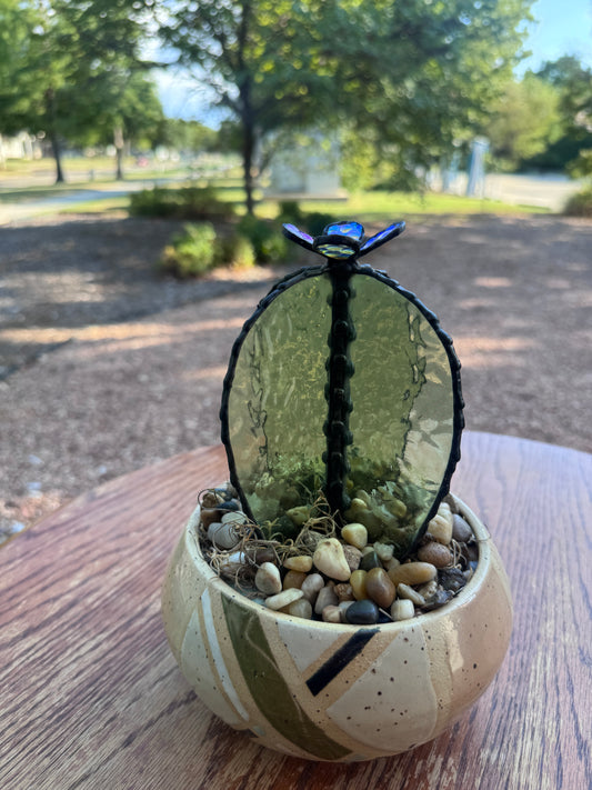 Desert Bloom Cacti