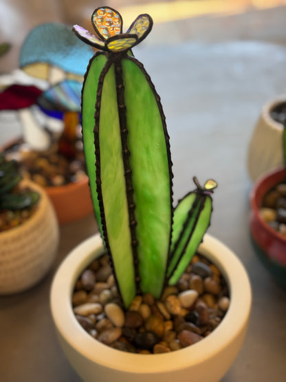 Sonoran Bloom Cactus