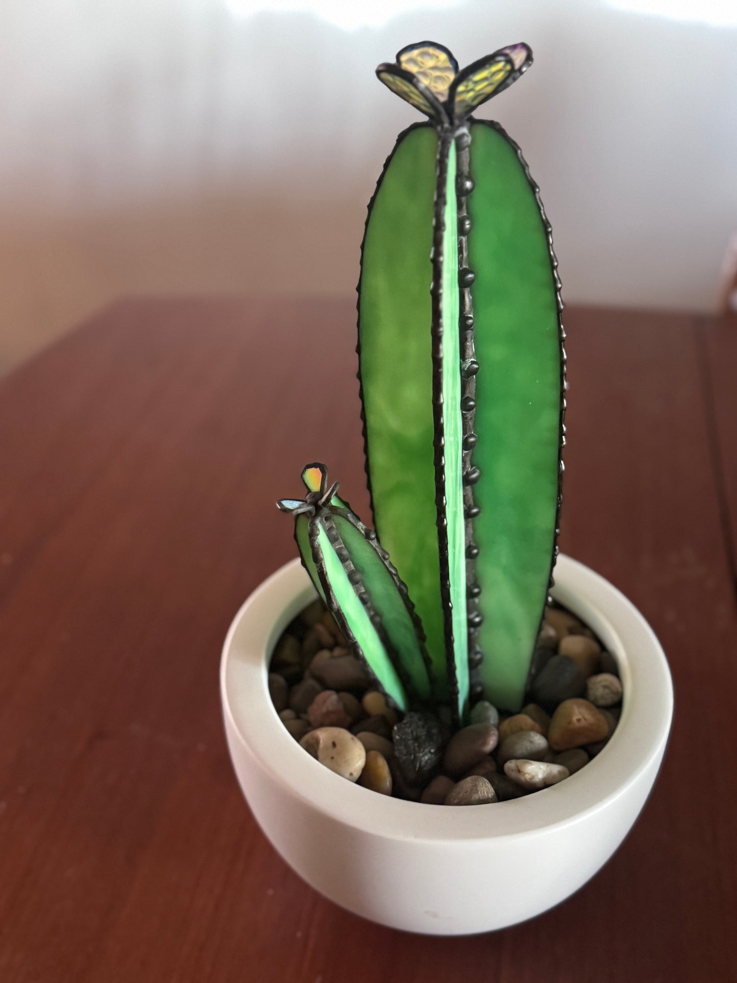 Sonoran Bloom Cactus