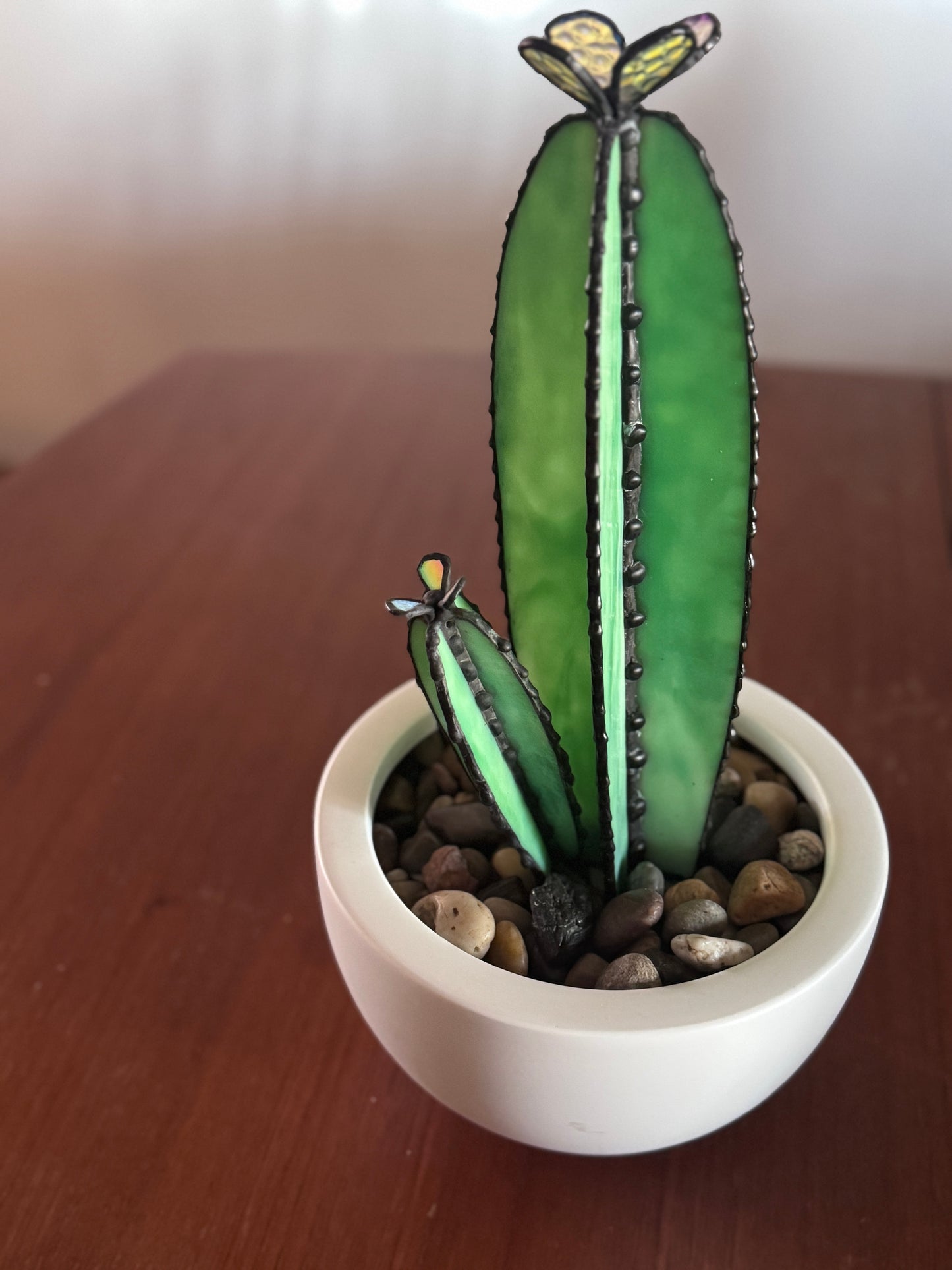 Sonoran Bloom Cactus