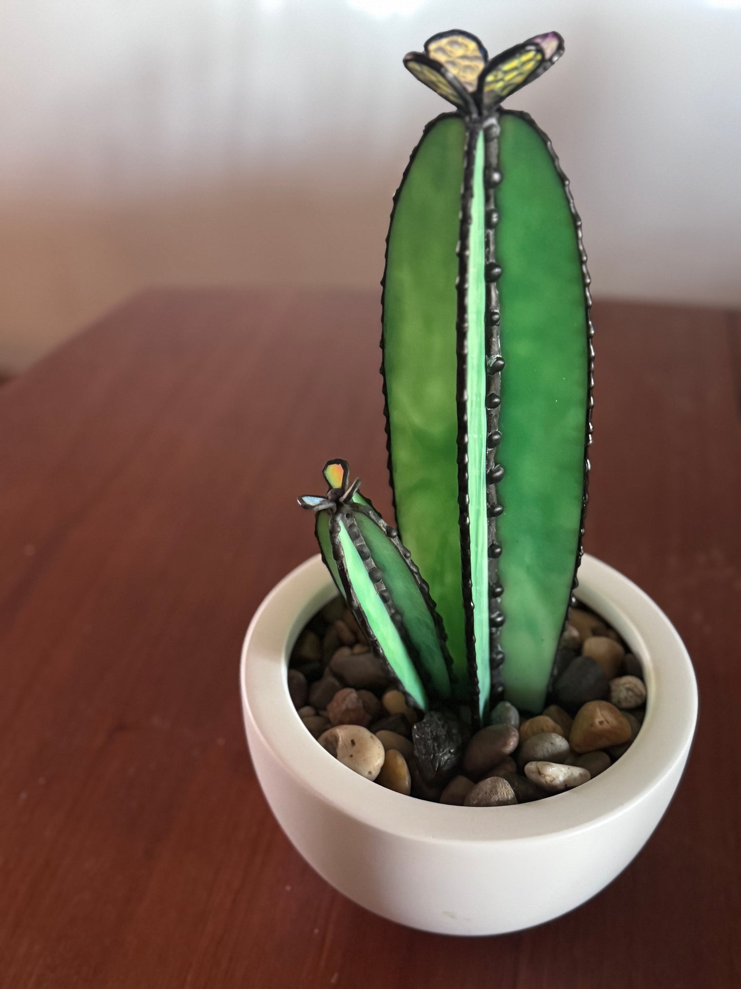 Sonoran Bloom Cactus