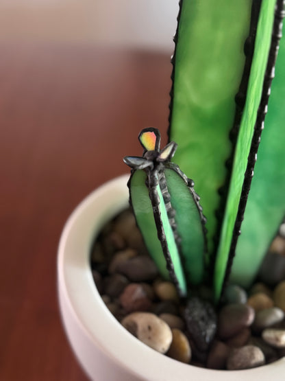Sonoran Bloom Cactus