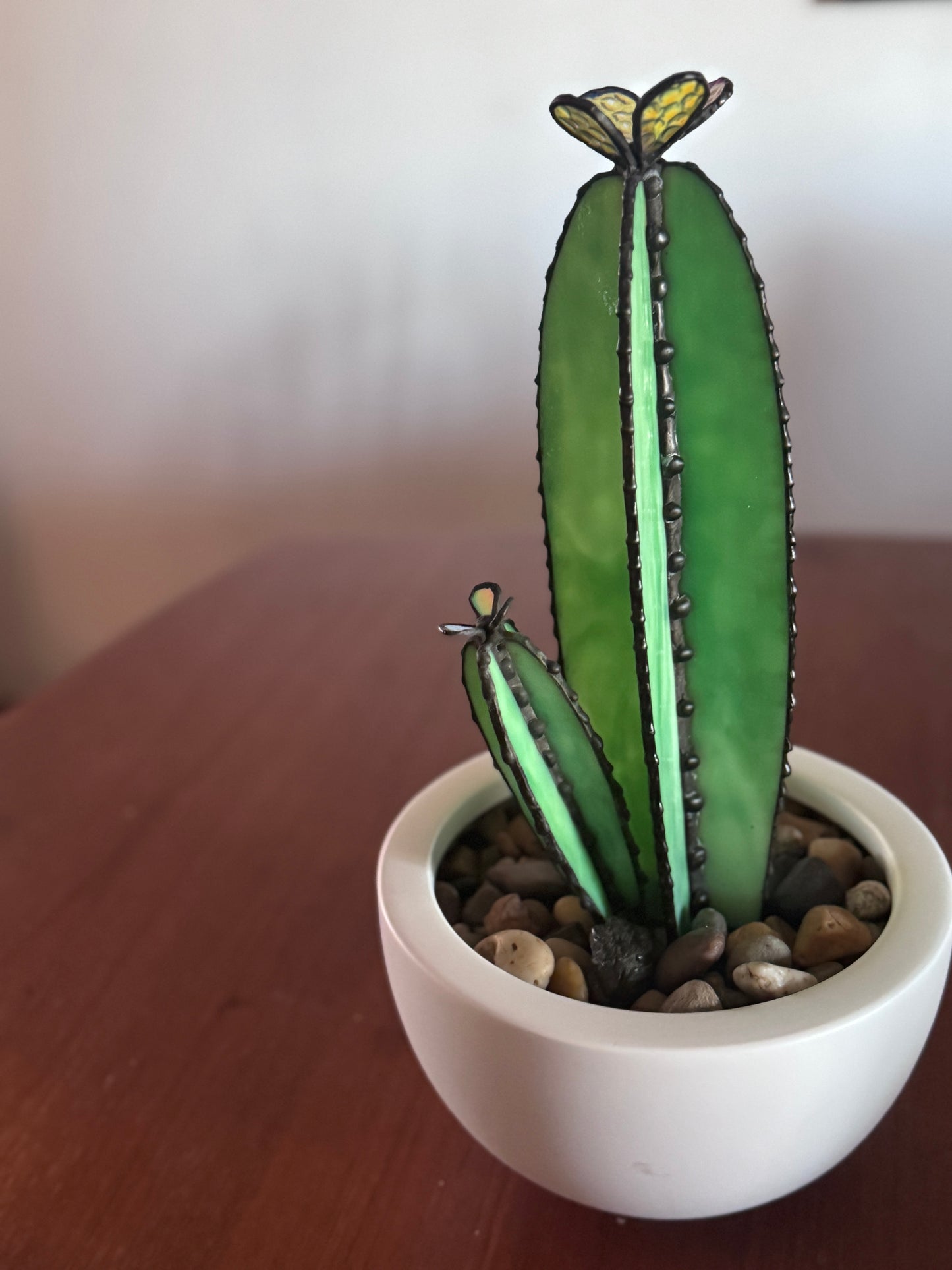Sonoran Bloom Cactus