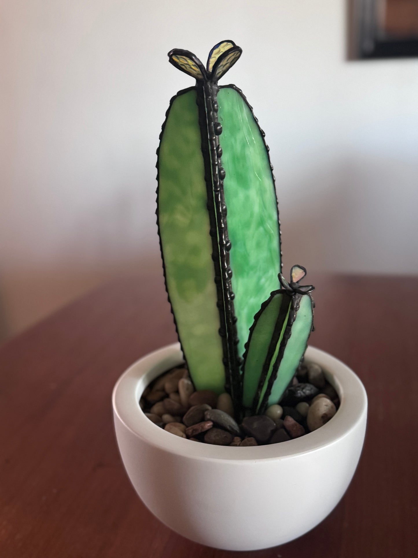 Sonoran Bloom Cactus