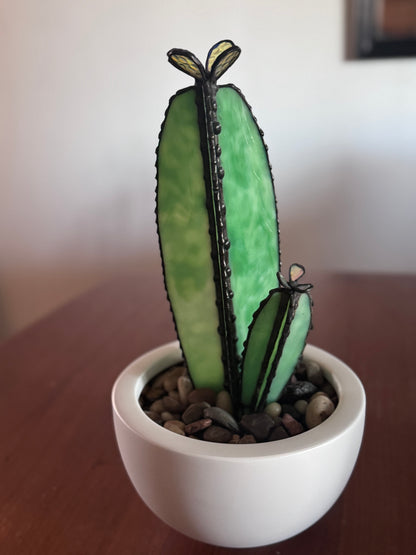 Sonoran Bloom Cactus