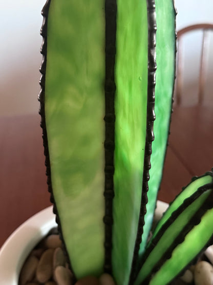 Sonoran Bloom Cactus