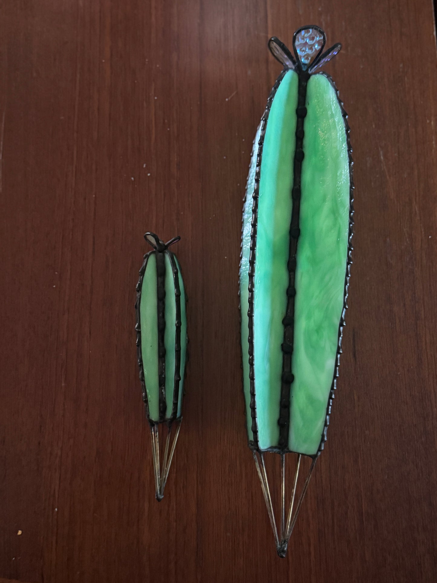 Sonoran Bloom Cactus